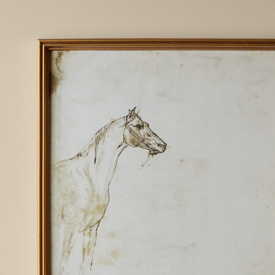 Étude d'un Cheval (17" X 21")