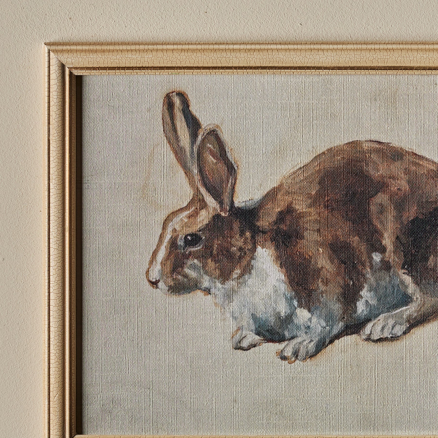 Le lapin de Béatrice (14" x 11")