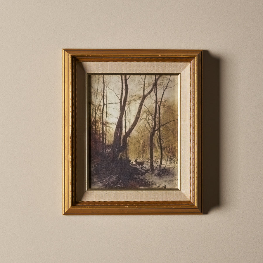 Lumineuse forêt (12" x 14")